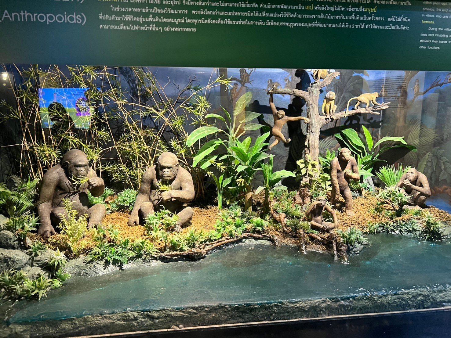 LINE_ALBUM_ดูงานบรรพชีวิน2568_250409_279