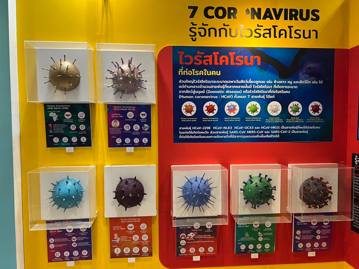 LINE_ALBUM_ดูงานบรรพชีวิน2568_250409_67