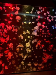 LINE_ALBUM_ศึกษาดูงาน ปี 3 2568_250424_11