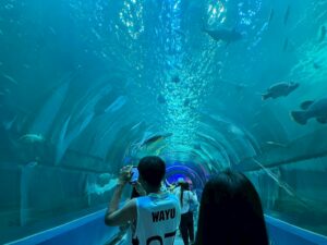 LINE_ALBUM_ศึกษาดูงาน ปี 3 2568_250424_4