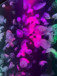 LINE_ALBUM_ศึกษาดูงาน ปี 3 2568_250424_8